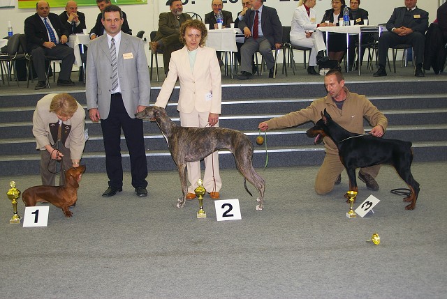 Kynologická revue - www.dogsk.sk