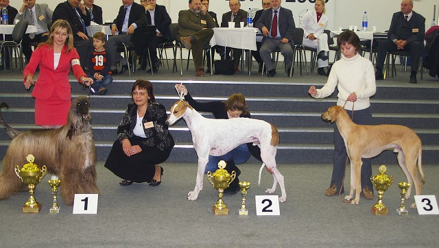 Kynologická revue - www.dogsk.sk