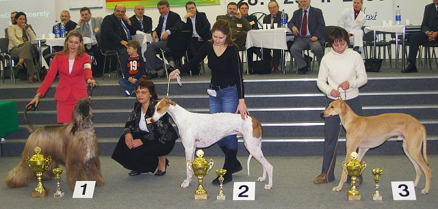 Kynologická revue - www.dogsk.sk