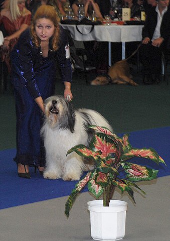 Kynologická revue - www.dogsk.sk