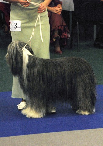 Kynologická revue - www.dogsk.sk