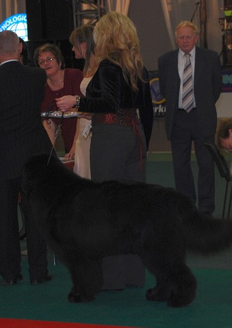 Kynologická revue - www.dogsk.sk
