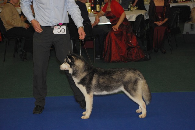Kynologická revue - www.dogsk.sk