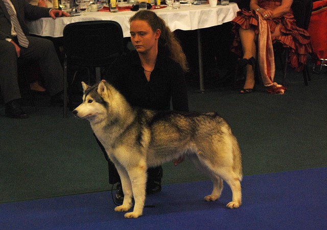 Kynologická revue - www.dogsk.sk