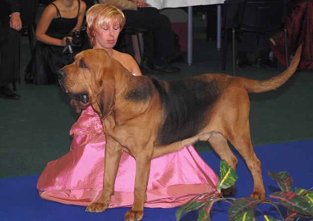 Kynologická revue - www.dogsk.sk