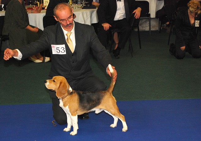 Kynologická revue - www.dogsk.sk