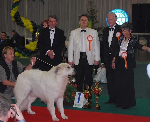 Kynologická revue - www.dogsk.sk