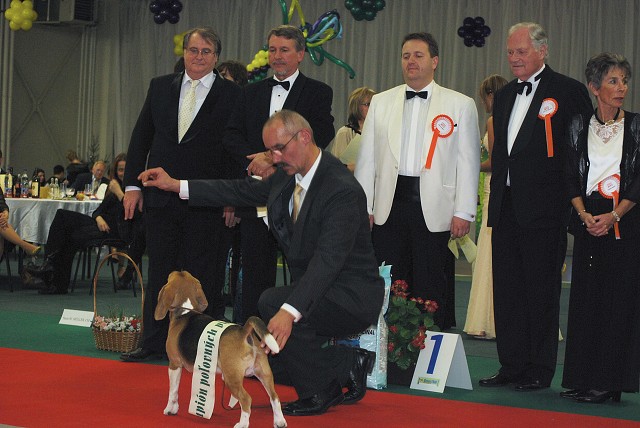 Kynologická revue - www.dogsk.sk