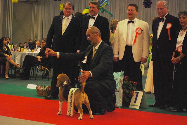 Kynologická revue - www.dogsk.sk