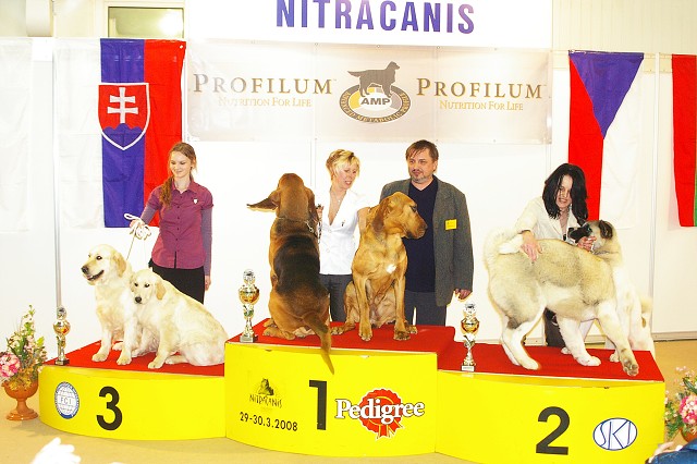 Kynologická revue - www.dogsk.sk