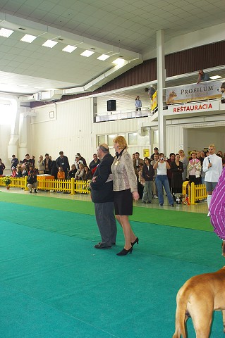 Kynologická revue - www.dogsk.sk