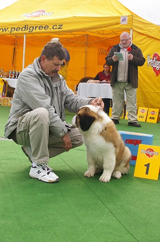 Kynologická revue - www.dogsk.sk