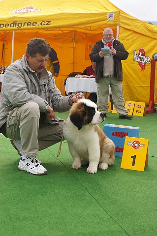 Kynologická revue - www.dogsk.sk