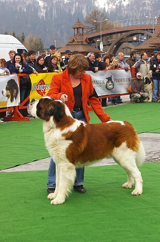 Kynologická revue - www.dogsk.sk