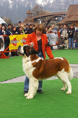 Kynologická revue - www.dogsk.sk