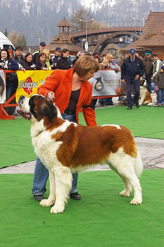 Kynologická revue - www.dogsk.sk