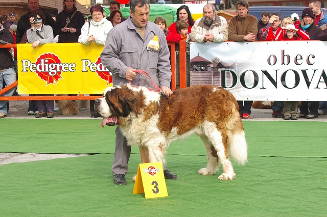 Kynologická revue - www.dogsk.sk