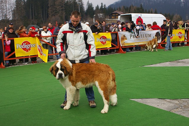 Kynologická revue - www.dogsk.sk