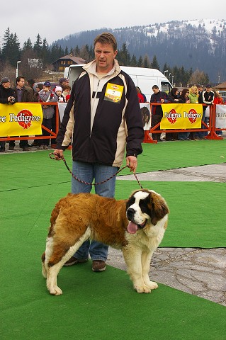 Kynologická revue - www.dogsk.sk