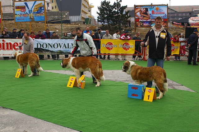 Kynologická revue - www.dogsk.sk