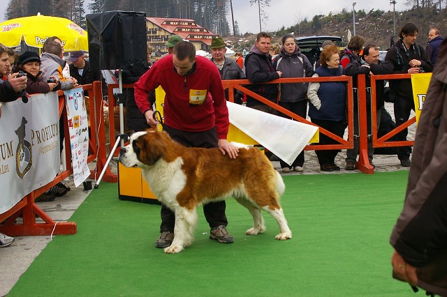 Kynologická revue - www.dogsk.sk