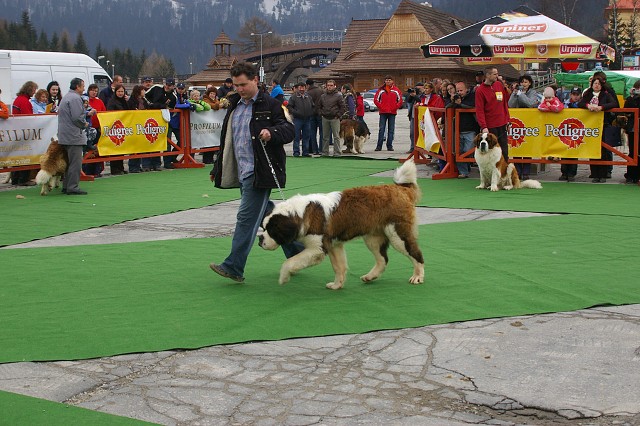 Kynologická revue - www.dogsk.sk