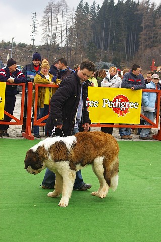 Kynologická revue - www.dogsk.sk