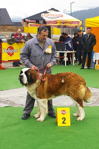 Kynologická revue - www.dogsk.sk