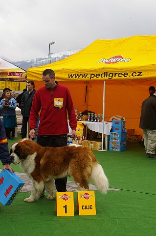 Kynologická revue - www.dogsk.sk