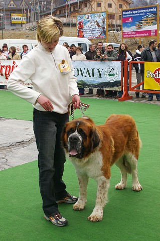 Kynologická revue - www.dogsk.sk