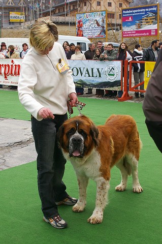 Kynologická revue - www.dogsk.sk