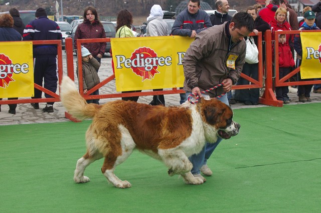 Kynologická revue - www.dogsk.sk