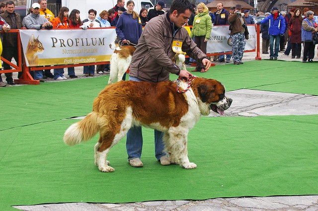 Kynologická revue - www.dogsk.sk