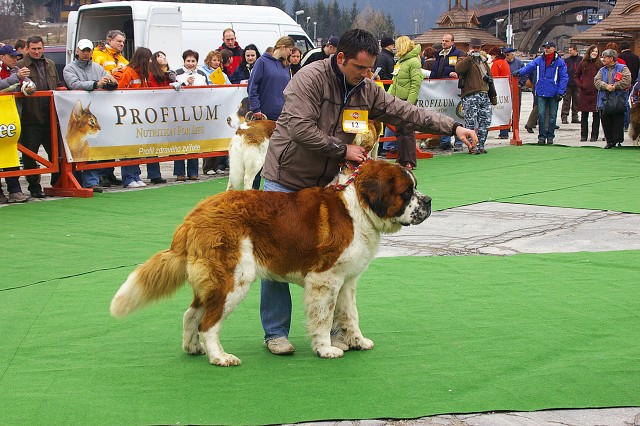 Kynologická revue - www.dogsk.sk