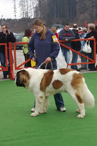 Kynologická revue - www.dogsk.sk