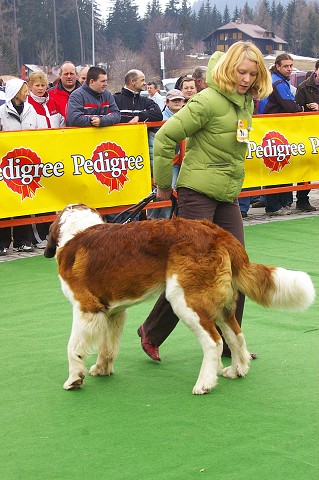 Kynologická revue - www.dogsk.sk