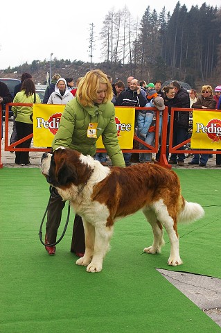 Kynologická revue - www.dogsk.sk
