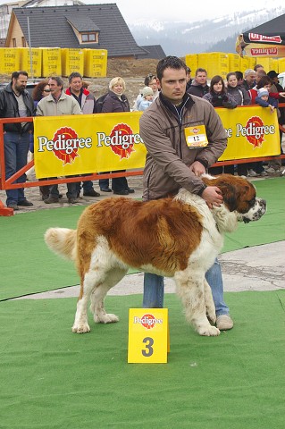 Kynologická revue - www.dogsk.sk