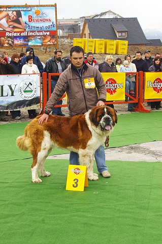 Kynologická revue - www.dogsk.sk