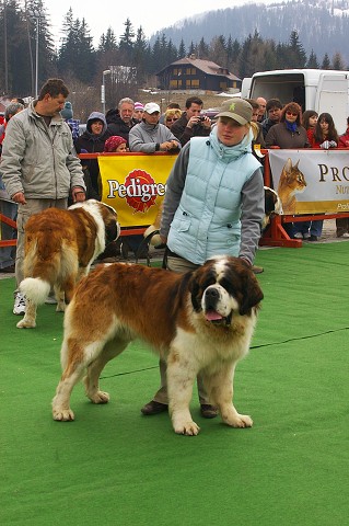 Kynologická revue - www.dogsk.sk