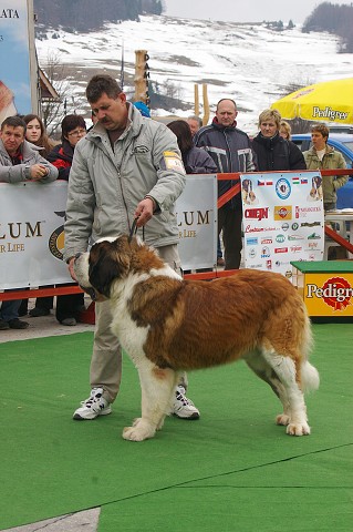 Kynologická revue - www.dogsk.sk
