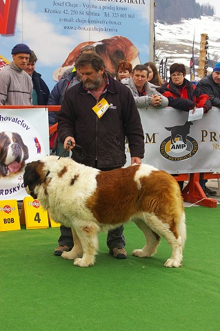 Kynologická revue - www.dogsk.sk