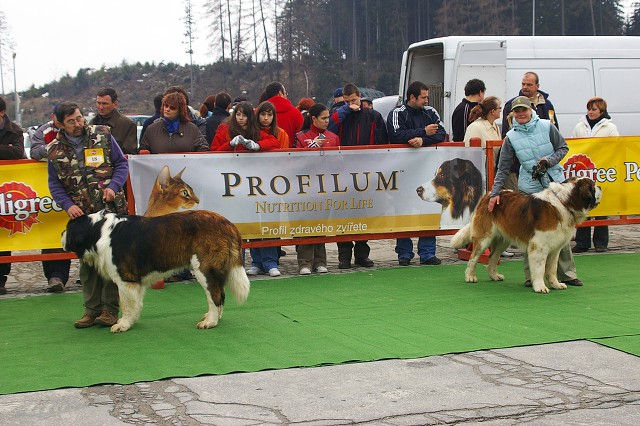 Kynologická revue - www.dogsk.sk