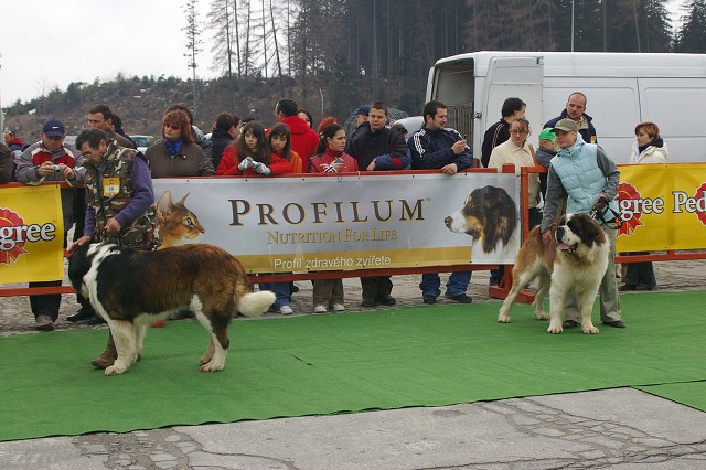 Kynologická revue - www.dogsk.sk
