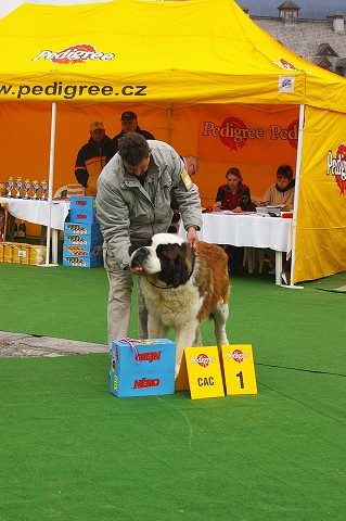 Kynologická revue - www.dogsk.sk