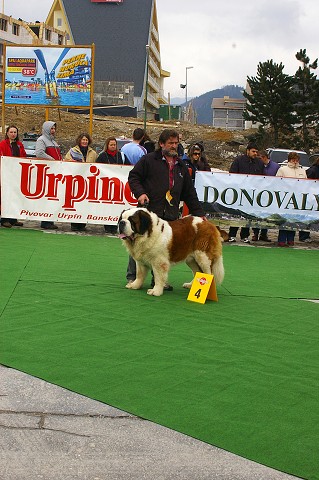 Kynologická revue - www.dogsk.sk