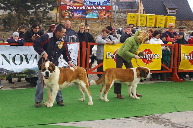 Kynologická revue - www.dogsk.sk