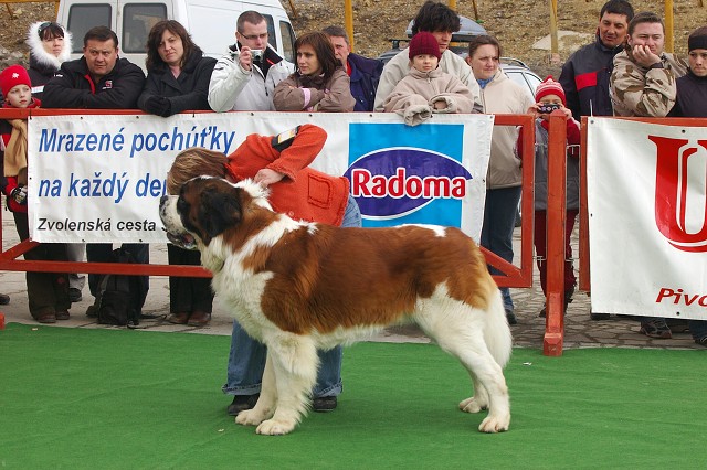 Kynologická revue - www.dogsk.sk