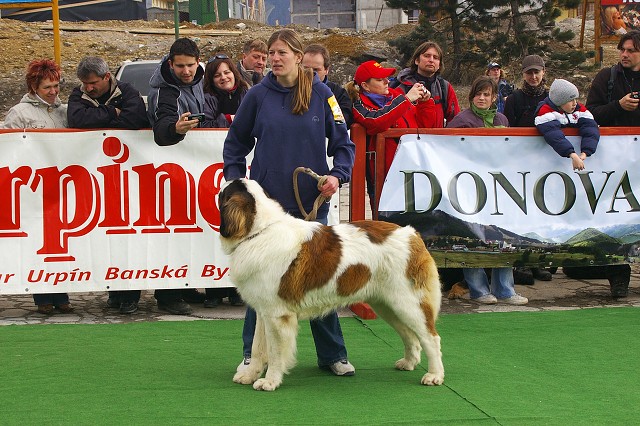 Kynologická revue - www.dogsk.sk