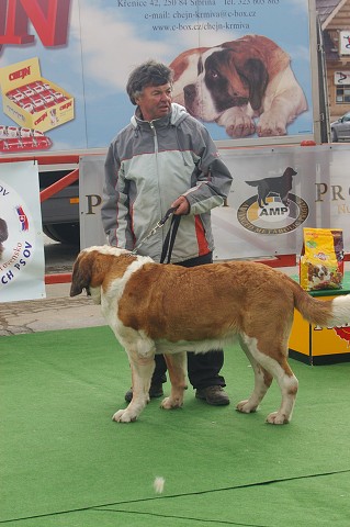 Kynologická revue - www.dogsk.sk